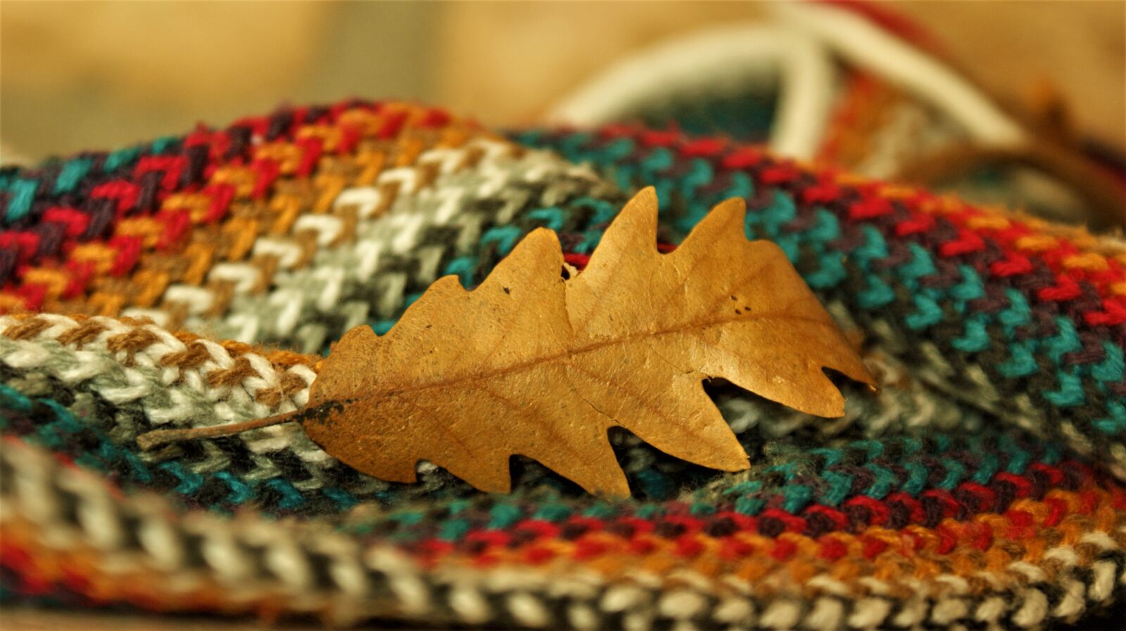 Sony Alpha DSLR-A350 sample photo. Autumn leaf, scarf, nature photography