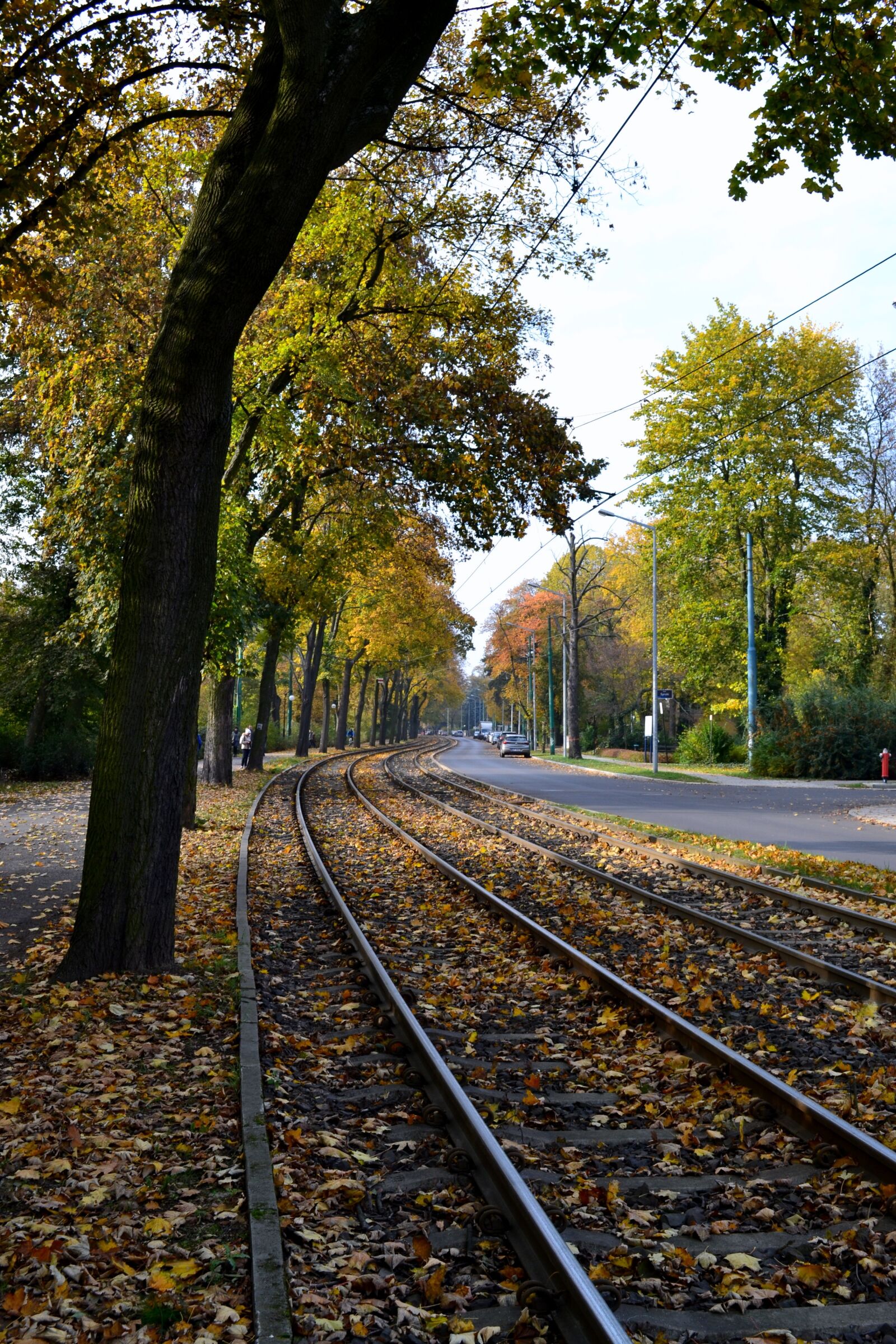 Nikon D3100 sample photo. Autumn, tracks, the prospect photography