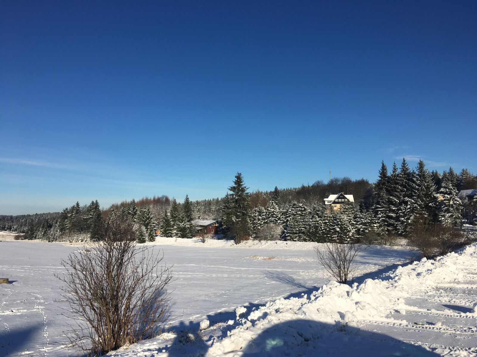 iPhone 6s back camera 4.15mm f/2.2 sample photo. Winter, snow, cold photography