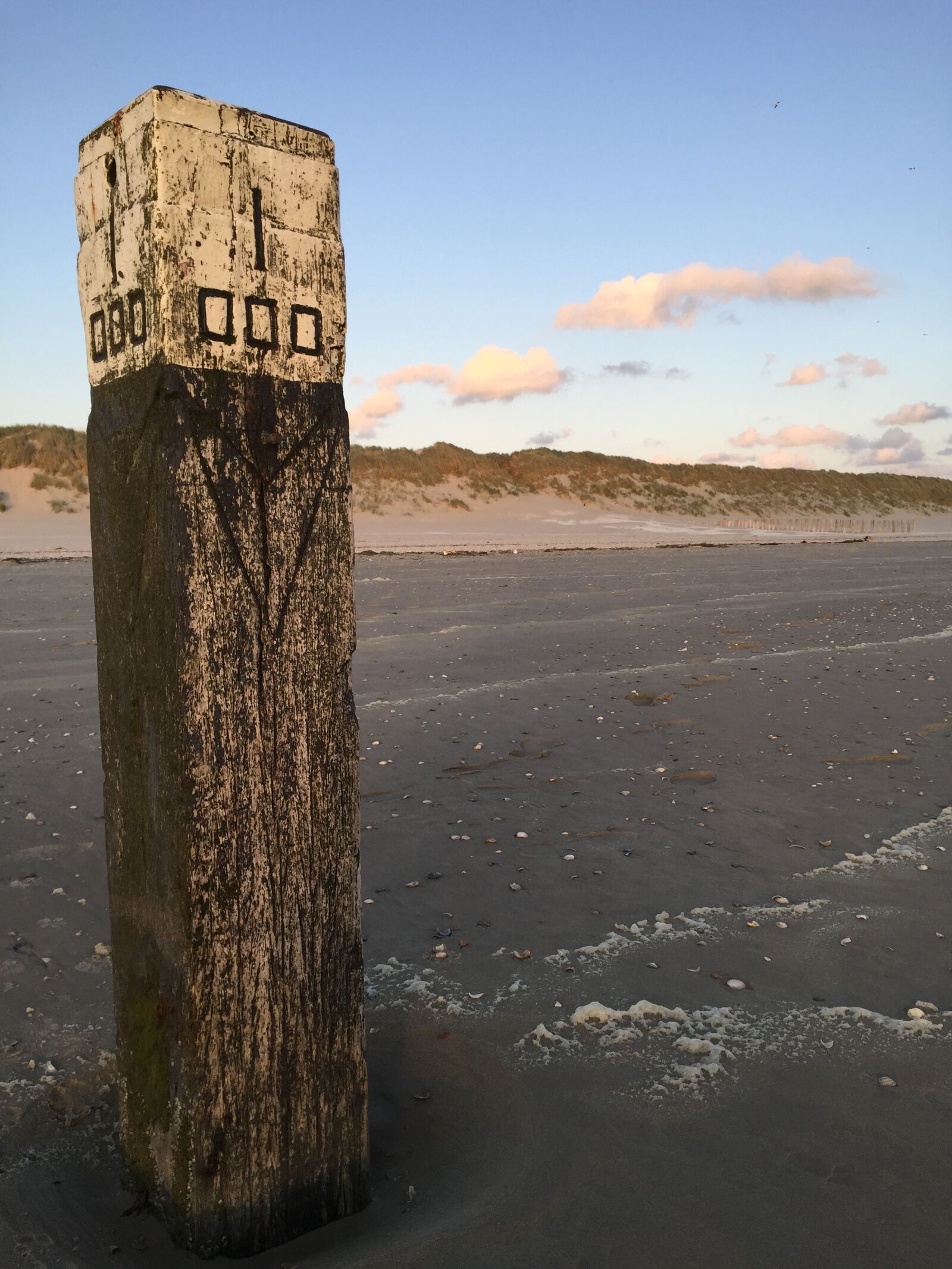 Apple iPhone 6 sample photo. Ameland, beach, dog photography
