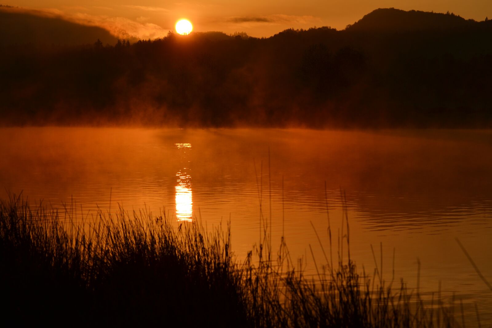 Nikon D3100 sample photo. Sunrise, pond, water photography