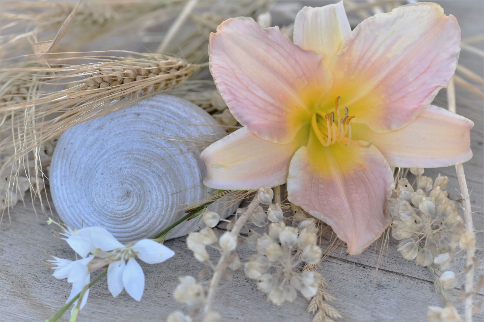 Nikon D5500 sample photo. Deco, table decorations, decoration photography