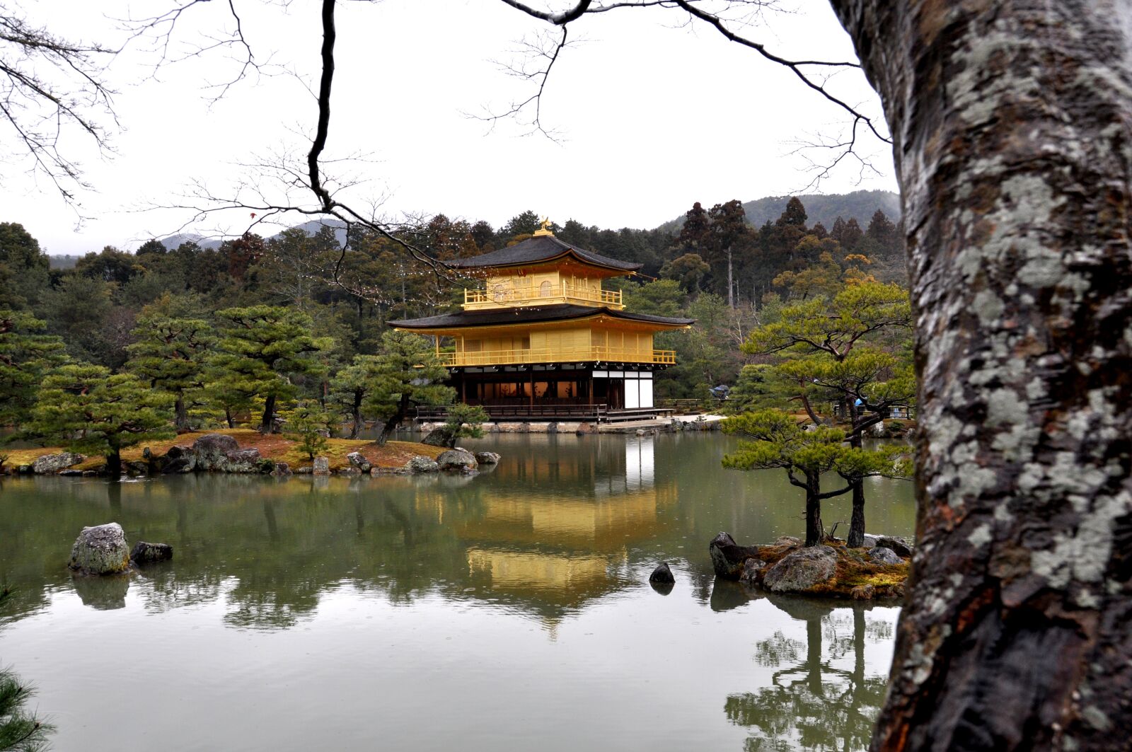 Nikon D90 sample photo. Kyoto, kinkaku ji, ji photography