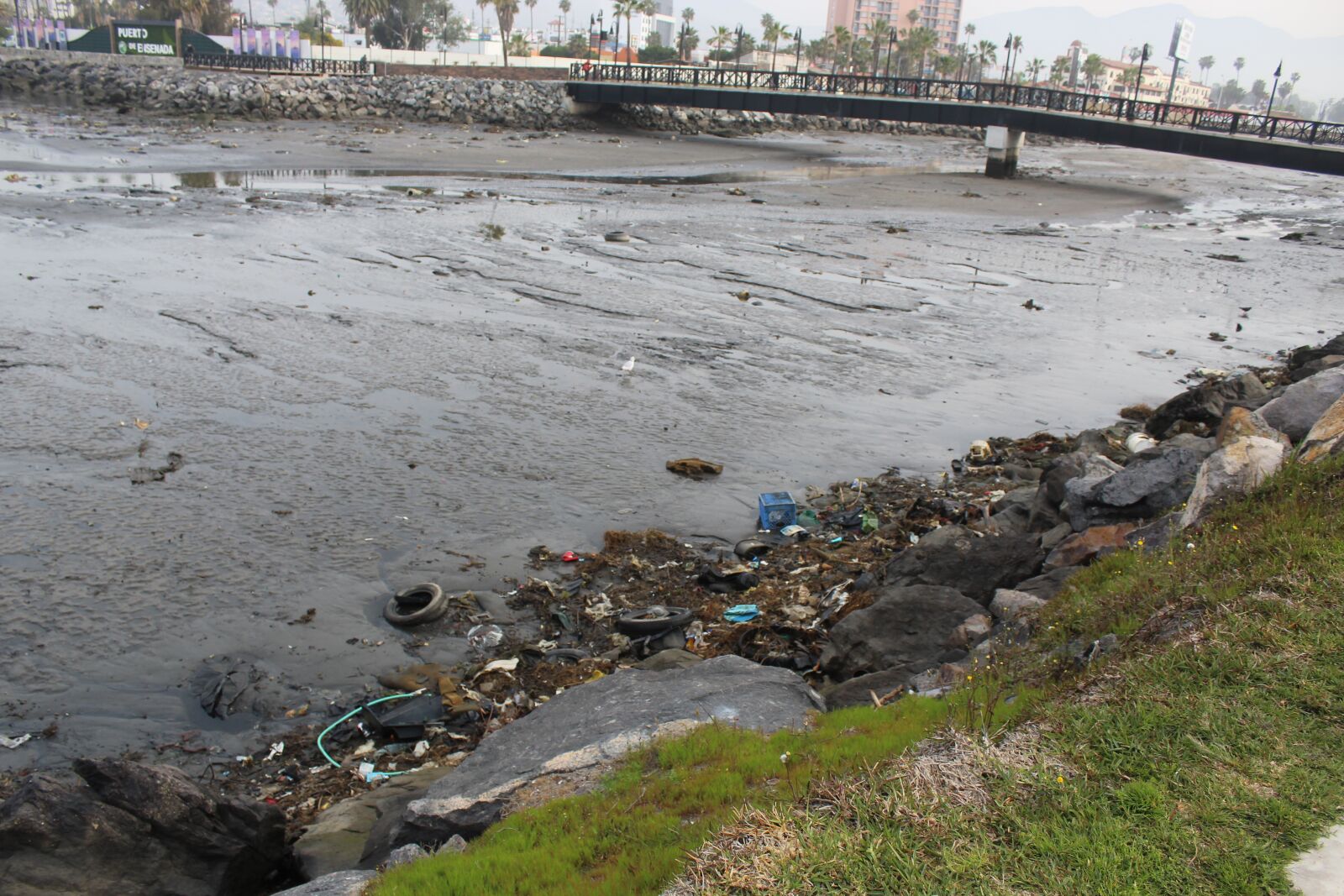 Canon EOS 1200D (EOS Rebel T5 / EOS Kiss X70 / EOS Hi) sample photo. Garbage, water, pollution photography