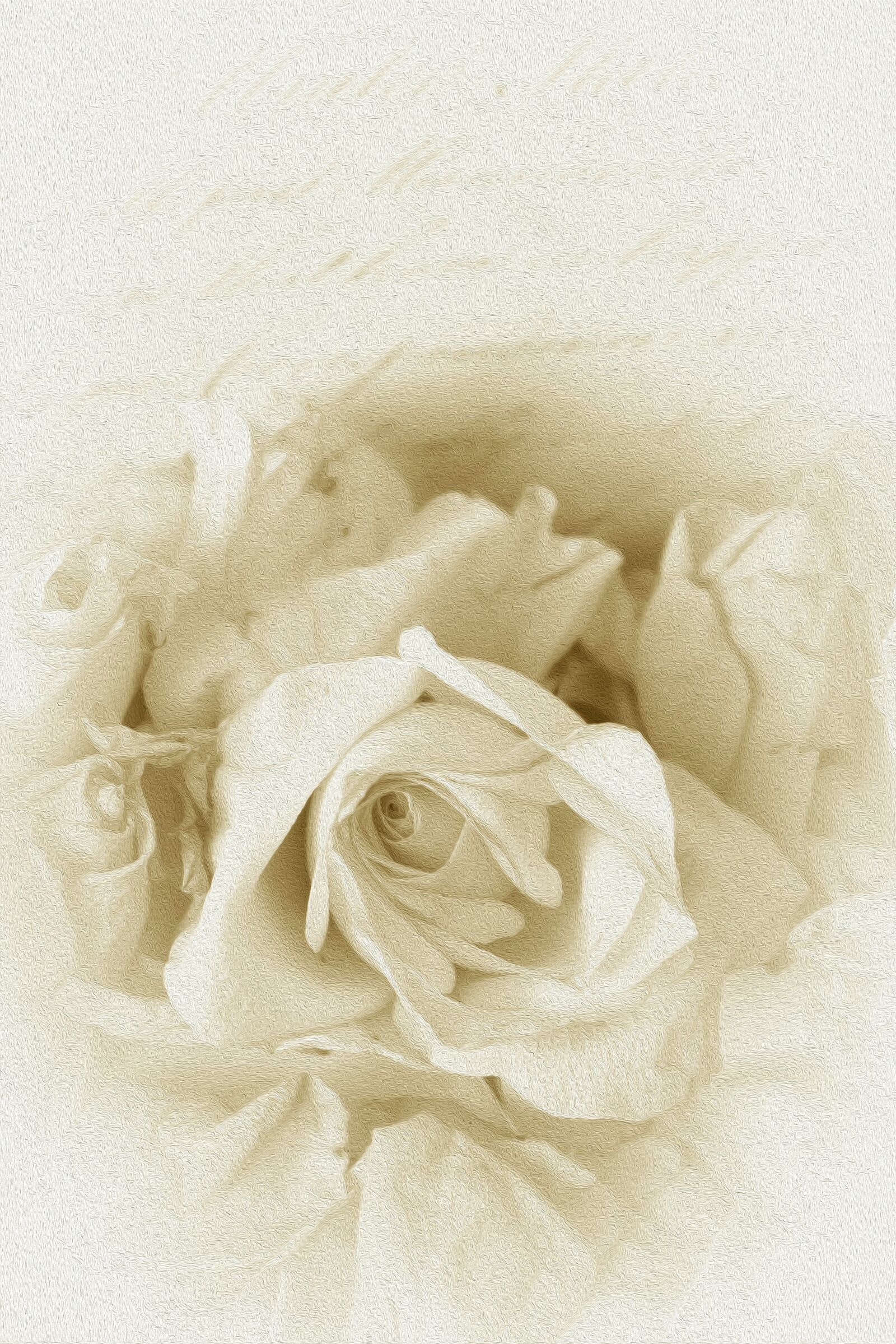 Canon EOS 600D (Rebel EOS T3i / EOS Kiss X5) sample photo. Antique, rose, past photography