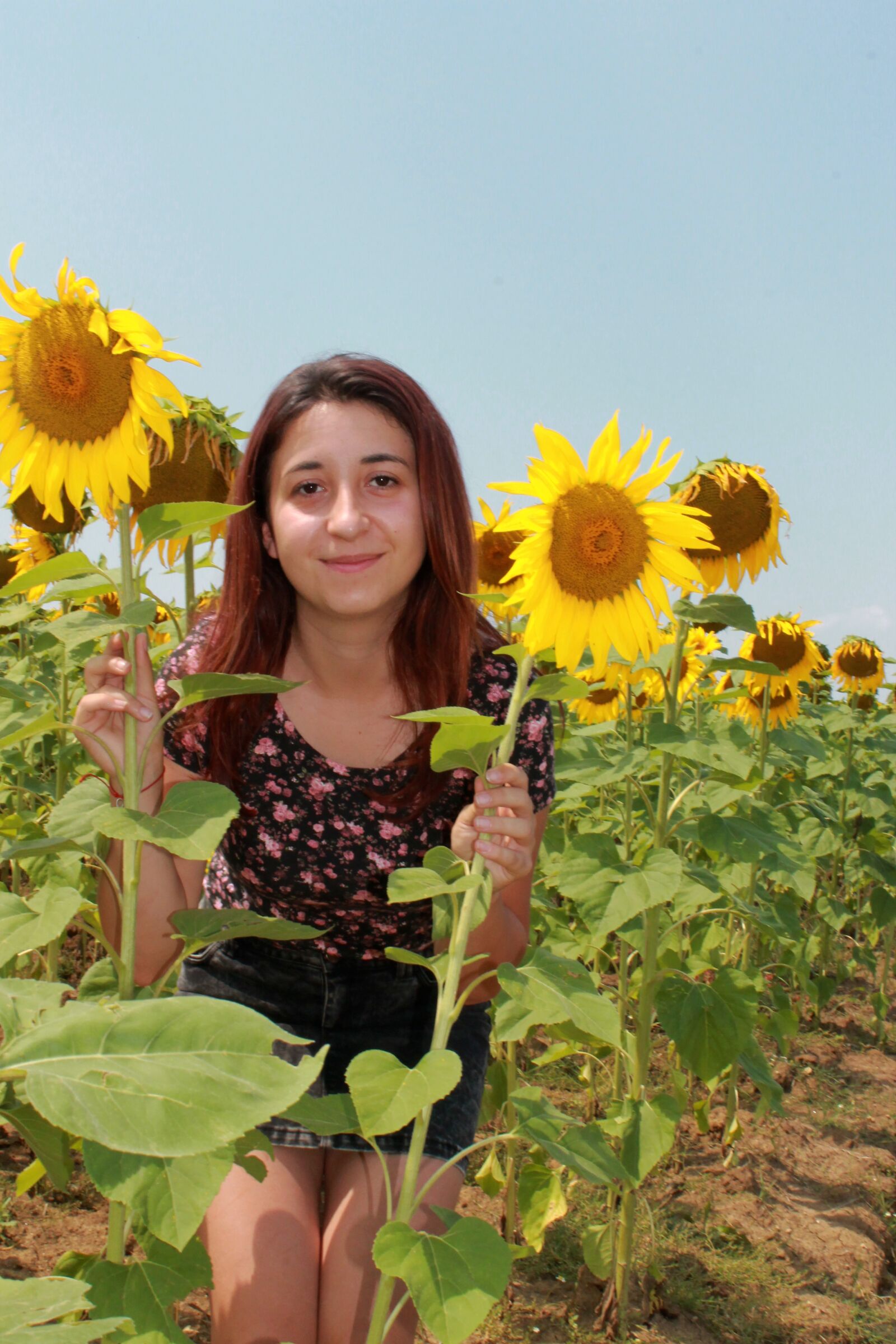 Canon EOS 1100D (EOS Rebel T3 / EOS Kiss X50) sample photo. Girl, yellow, sunflower photography