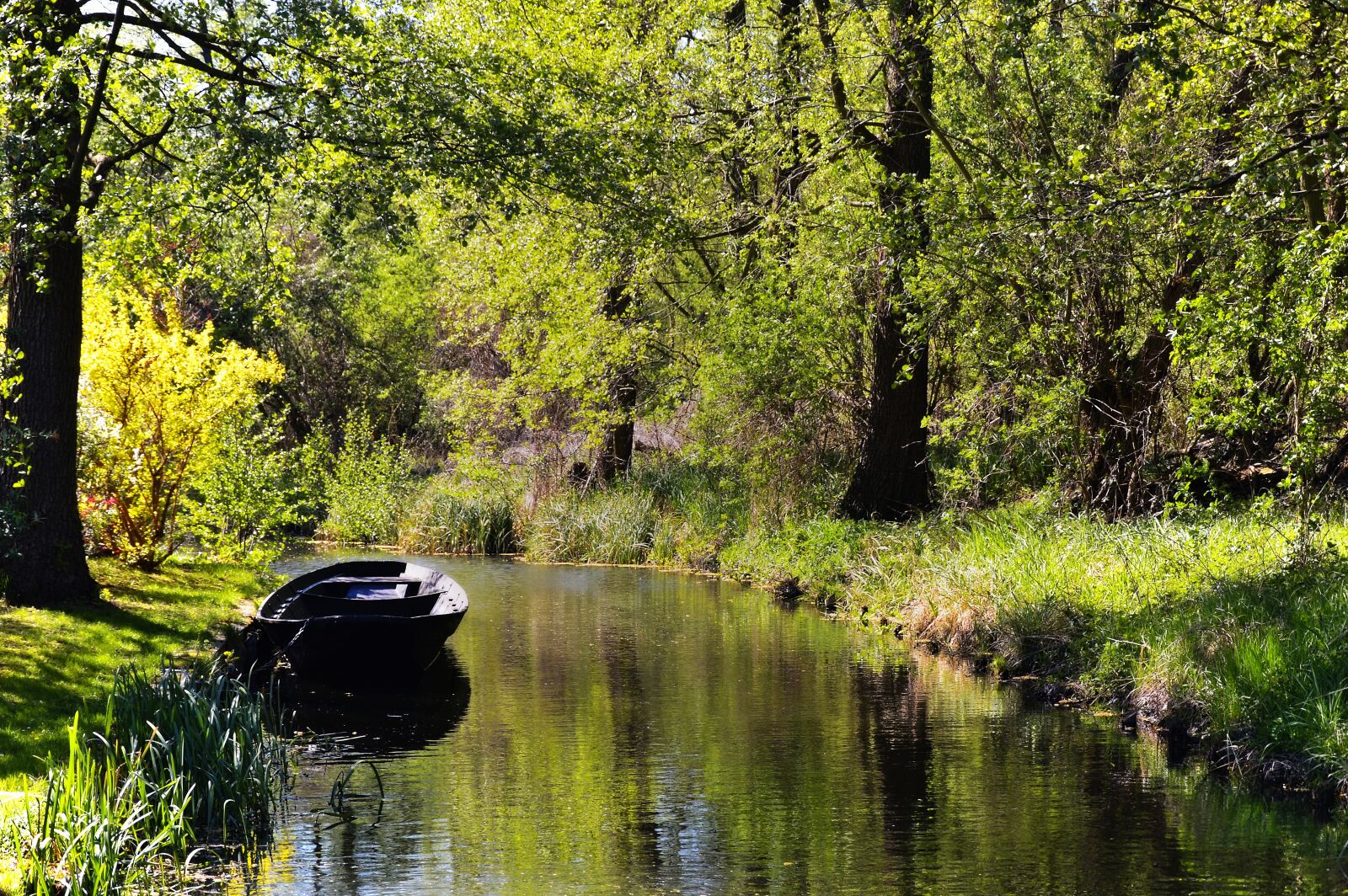 Nikon D3200 sample photo. Channel, water, spreewald photography