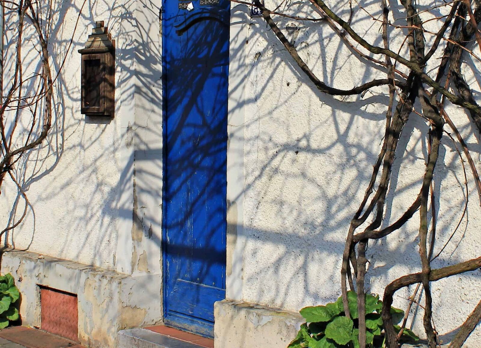 Canon EOS 550D (EOS Rebel T2i / EOS Kiss X4) sample photo. Winter, house, architecture, structure photography