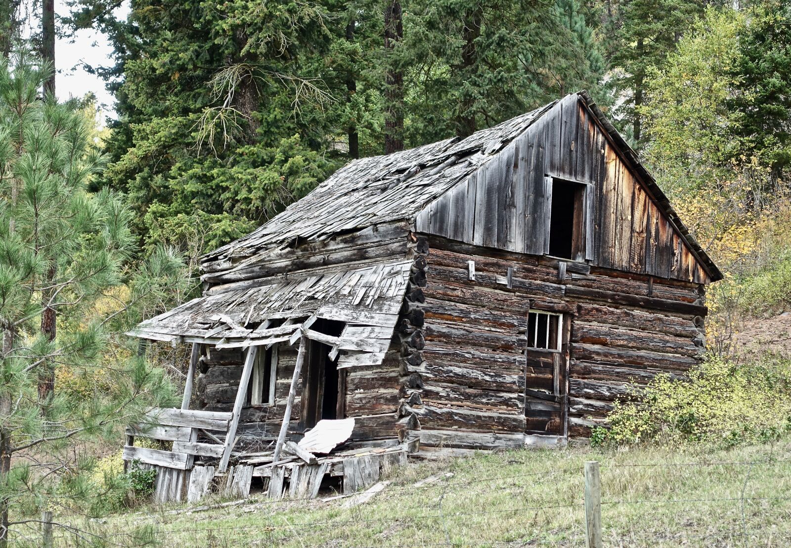 Sony Cyber-shot DSC-RX100 III sample photo. Shack, hut, ramshackle photography