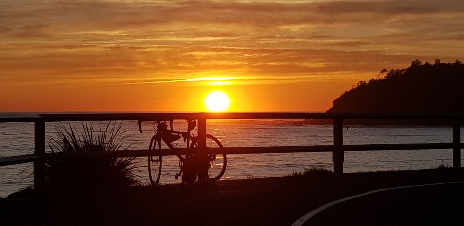 Samsung SM-G955F sample photo. Morning, golden, bicycle photography