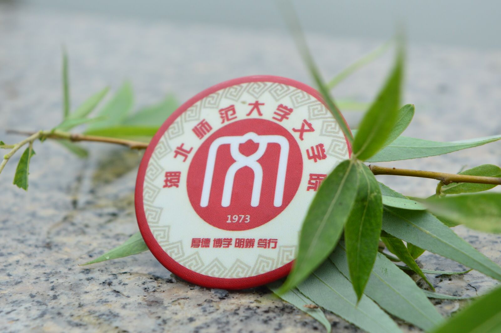 Nikon D3200 sample photo. Badge, the leaves, the photography