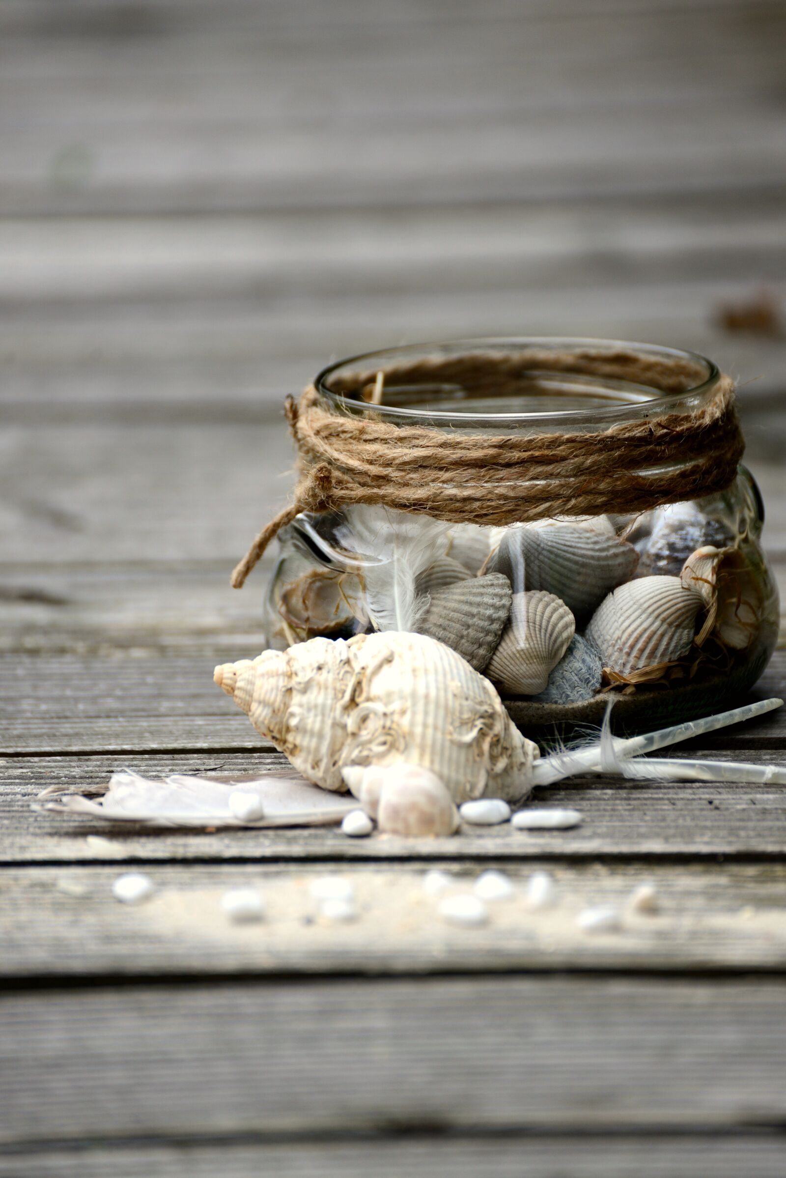 Nikon D610 sample photo. Mussels, flotsam, collect photography