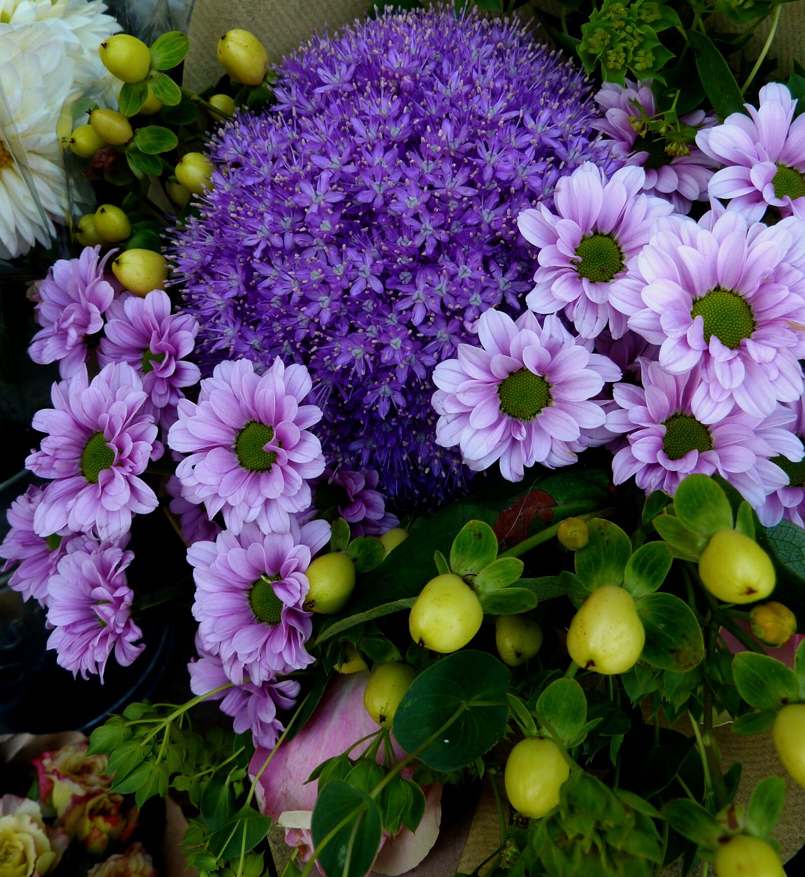 Panasonic DMC-TZ7 sample photo. Flowers, purple, nature photography