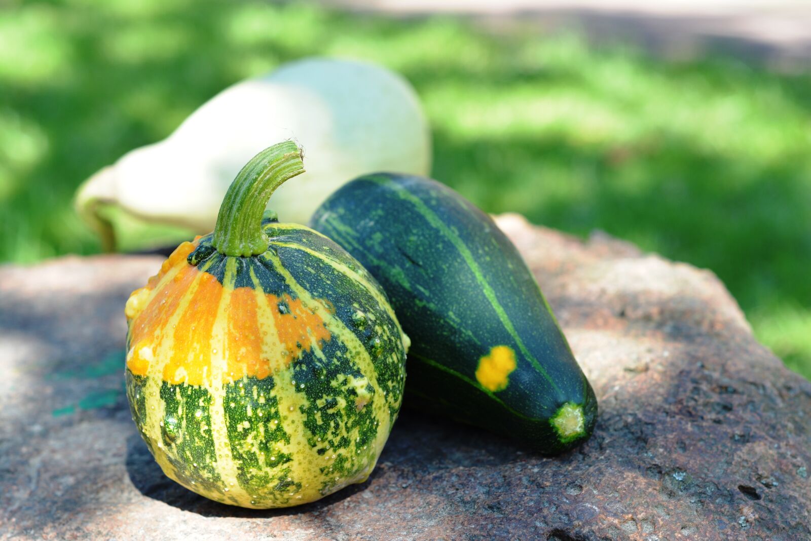 Nikon D5200 sample photo. Pumpkin, pumpkins, ornamental pumpkins photography