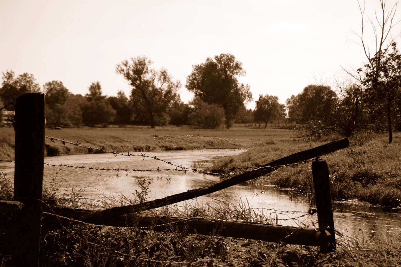 Nikon D40 sample photo. Waters, fence, tree photography
