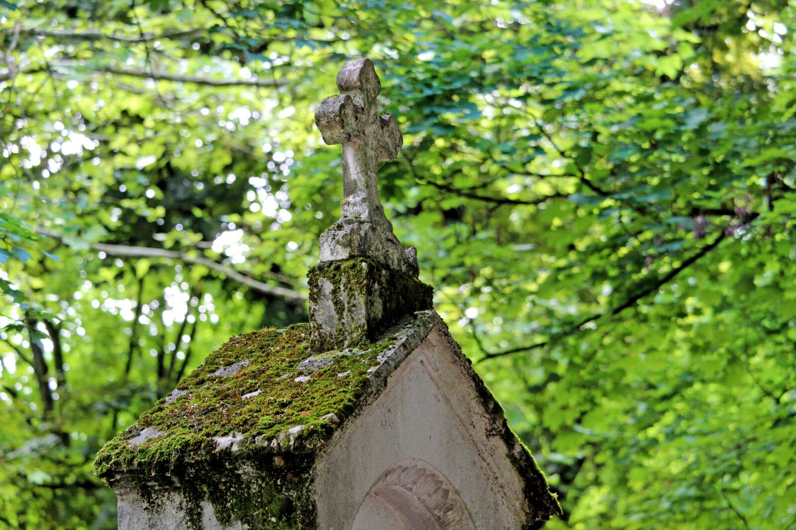 Canon EF-S 55-250mm F4-5.6 IS STM sample photo. Cemetery, cross, moss photography