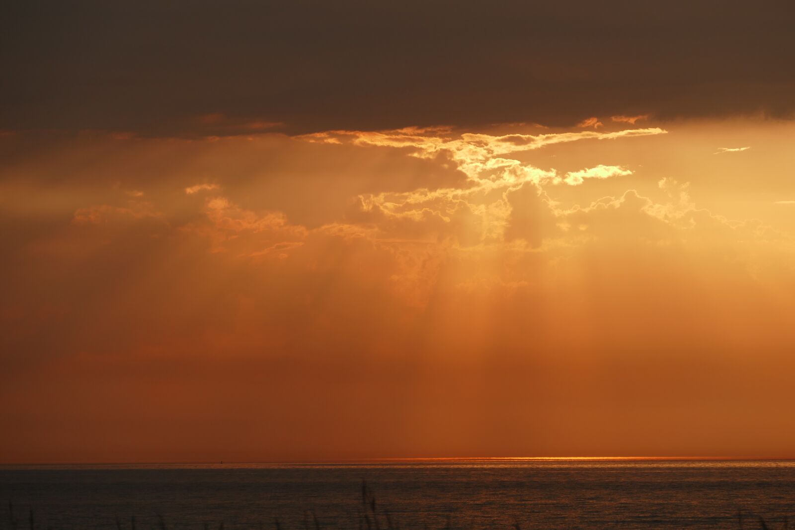 Panasonic Lumix DMC-FZ1000 sample photo. Sun, sea, sunset photography