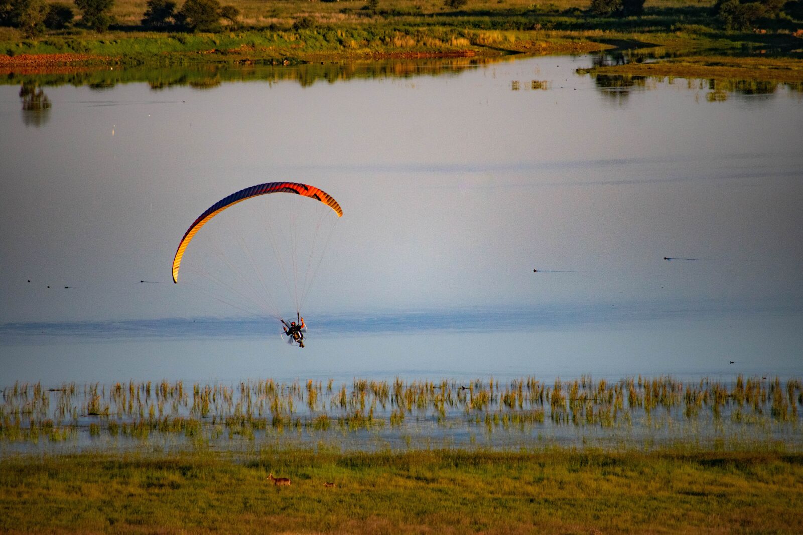 Nikon D3400 sample photo. Paramotor, flight, paragliding photography