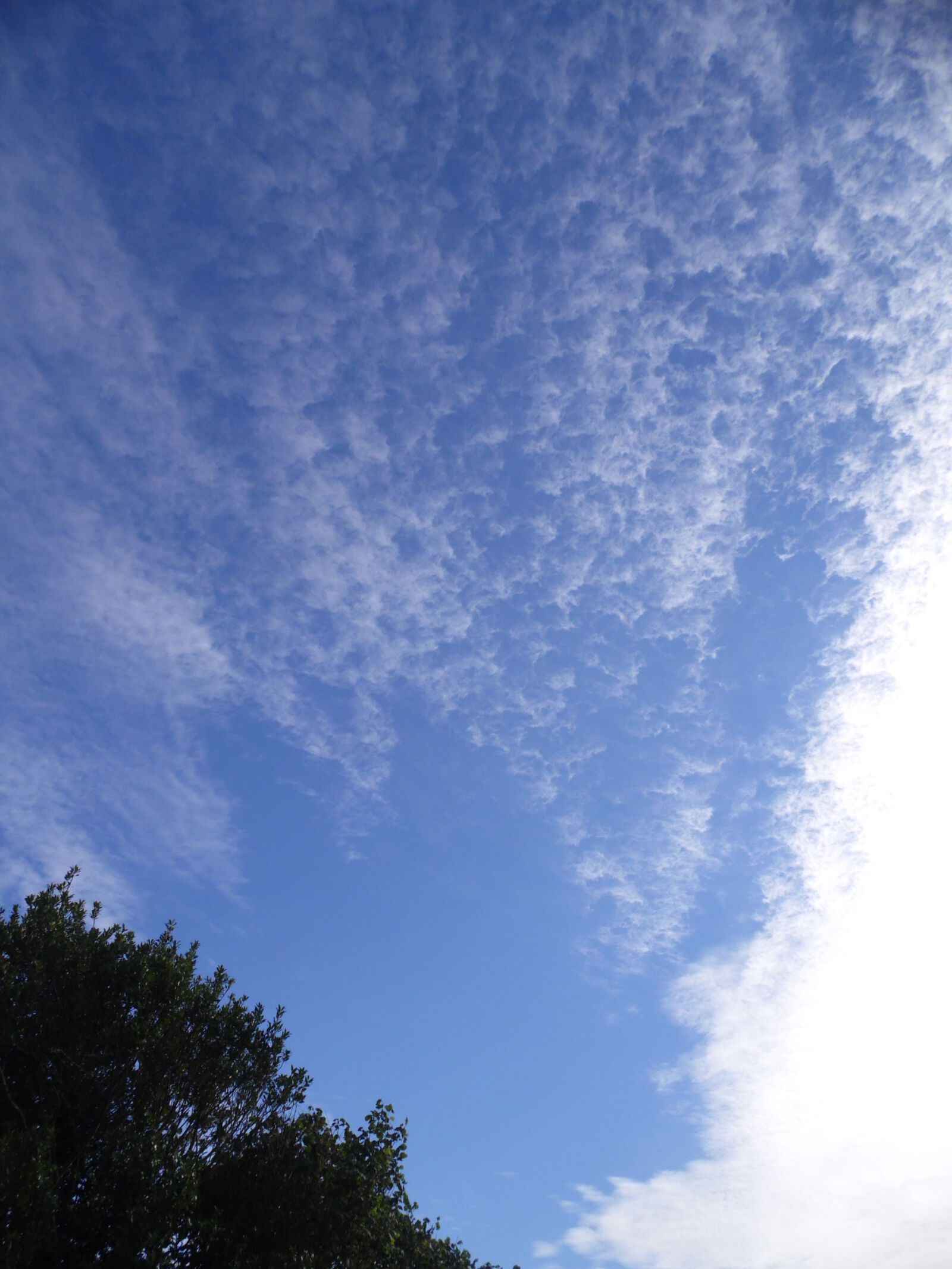 Samsung WB100/  WB101 sample photo