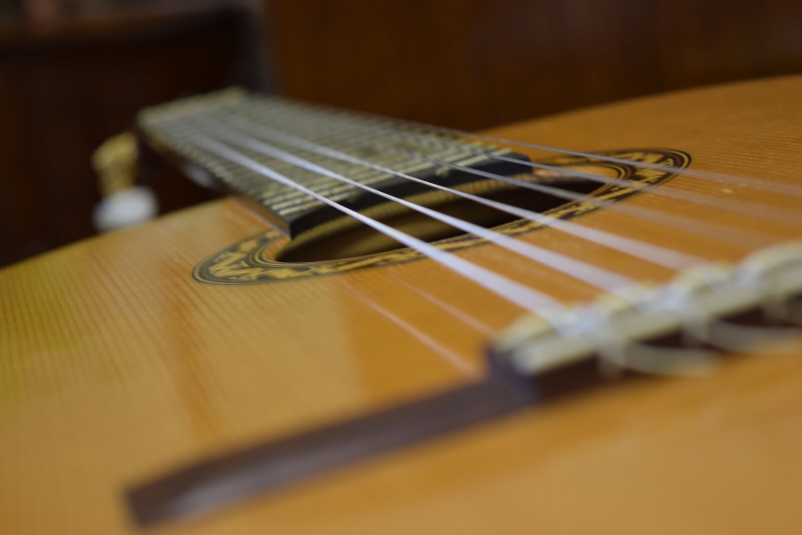 Nikon D5300 sample photo. Guitar, classical, music photography