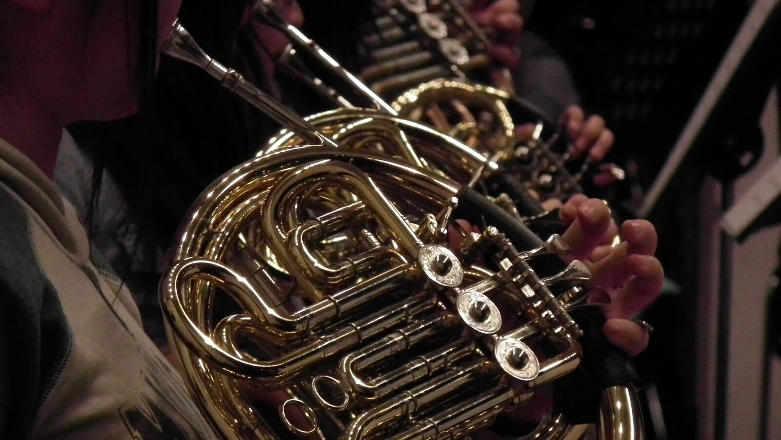 FujiFilm FinePix HS10 (FinePix HS11) sample photo. Horn, french horn, alexander photography