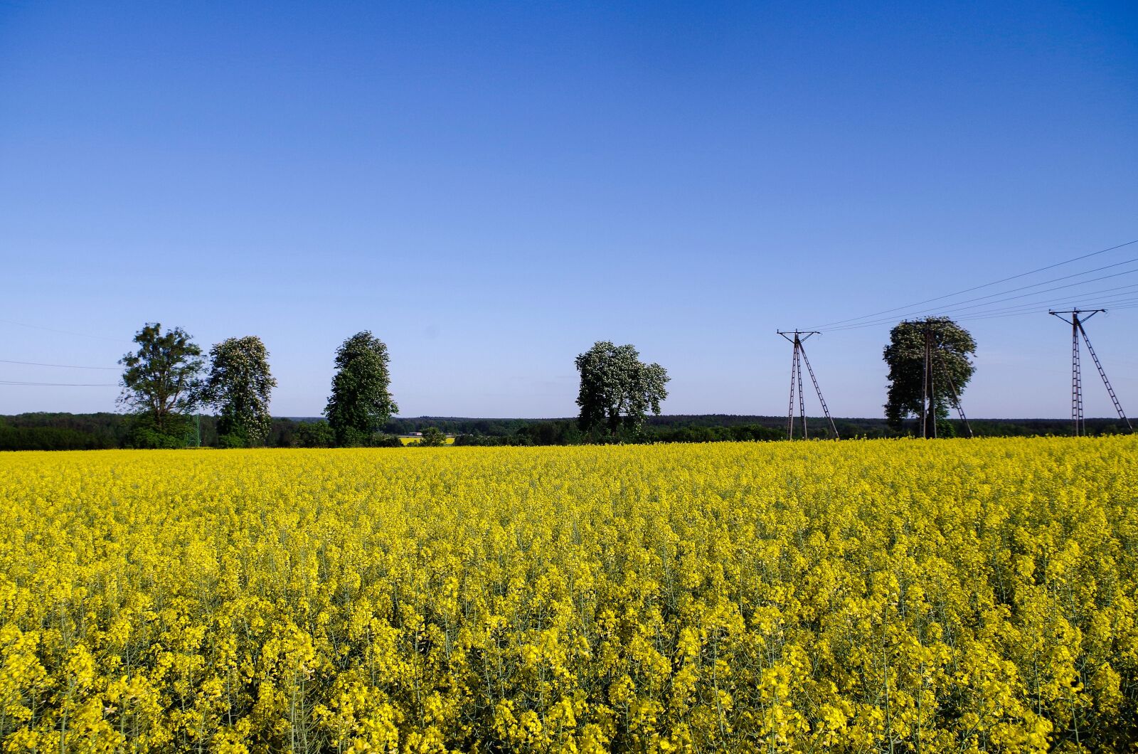 Pentax K-50 sample photo. Poland, village photography