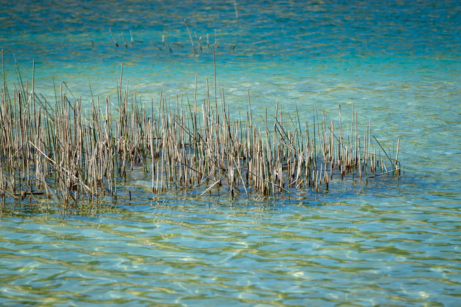 Canon EOS 200D (EOS Rebel SL2 / EOS Kiss X9) sample photo. Water, lake, blue photography
