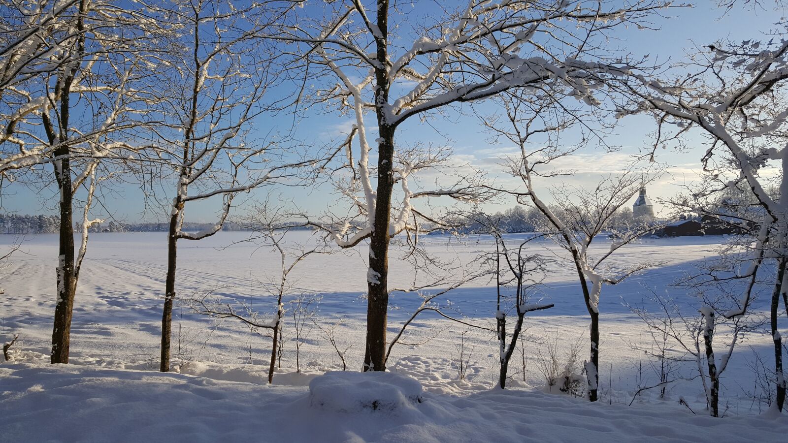 Samsung Galaxy S6 sample photo. Winter, tree, snow photography