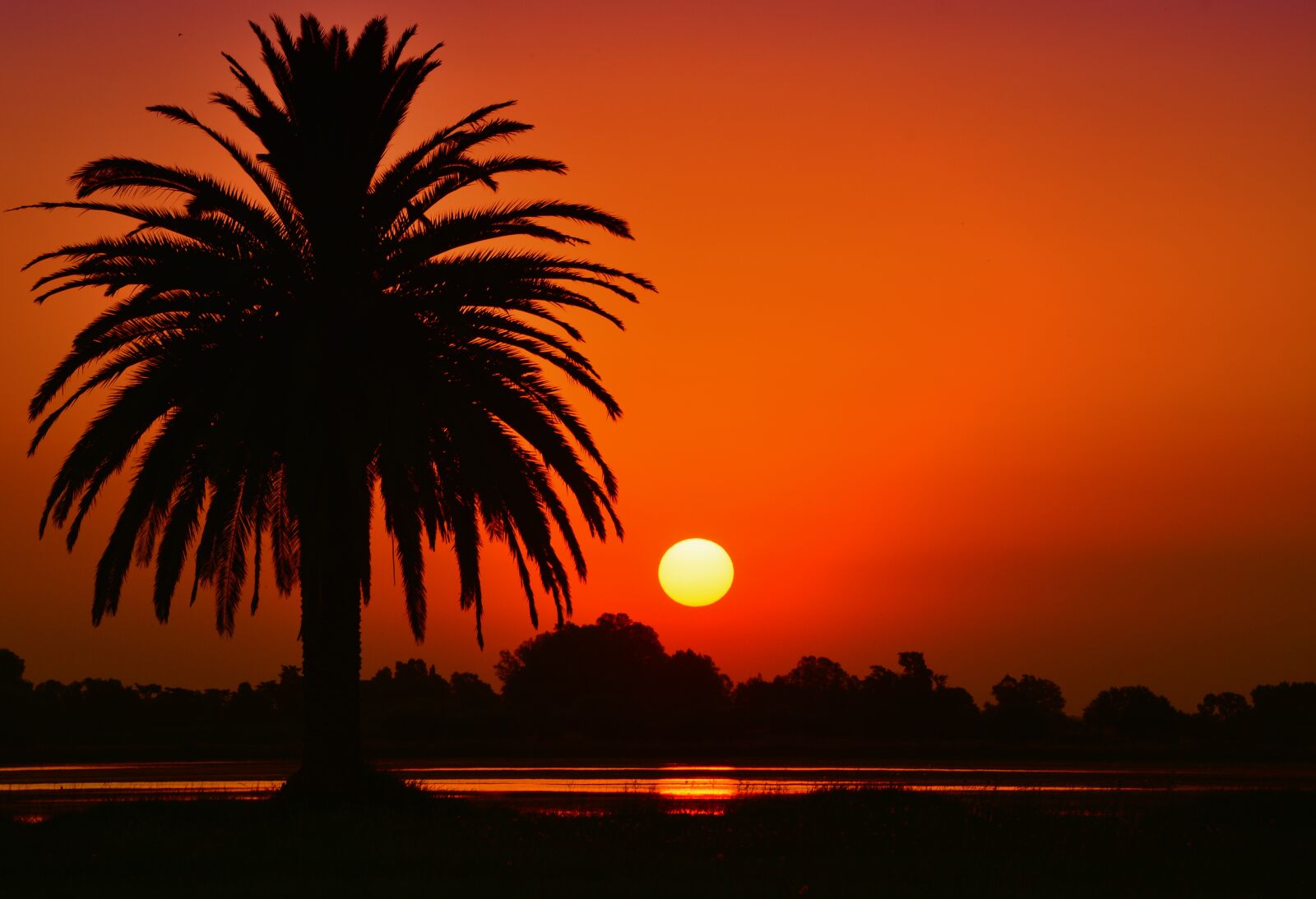 Nikon D5200 sample photo. Sunset, landscape, laguna photography