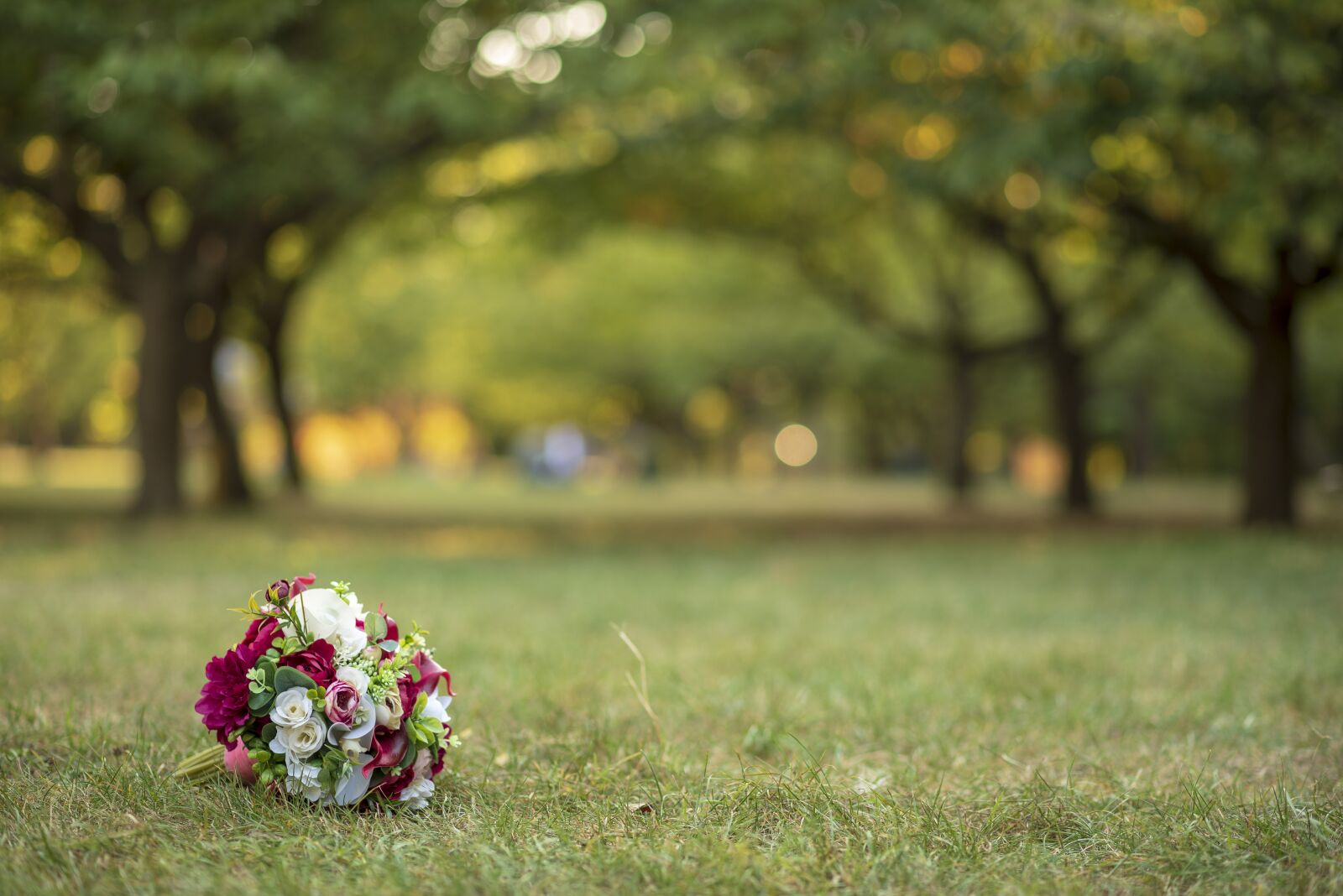 Nikon D750 sample photo. Bouquet, autumn, nature photography