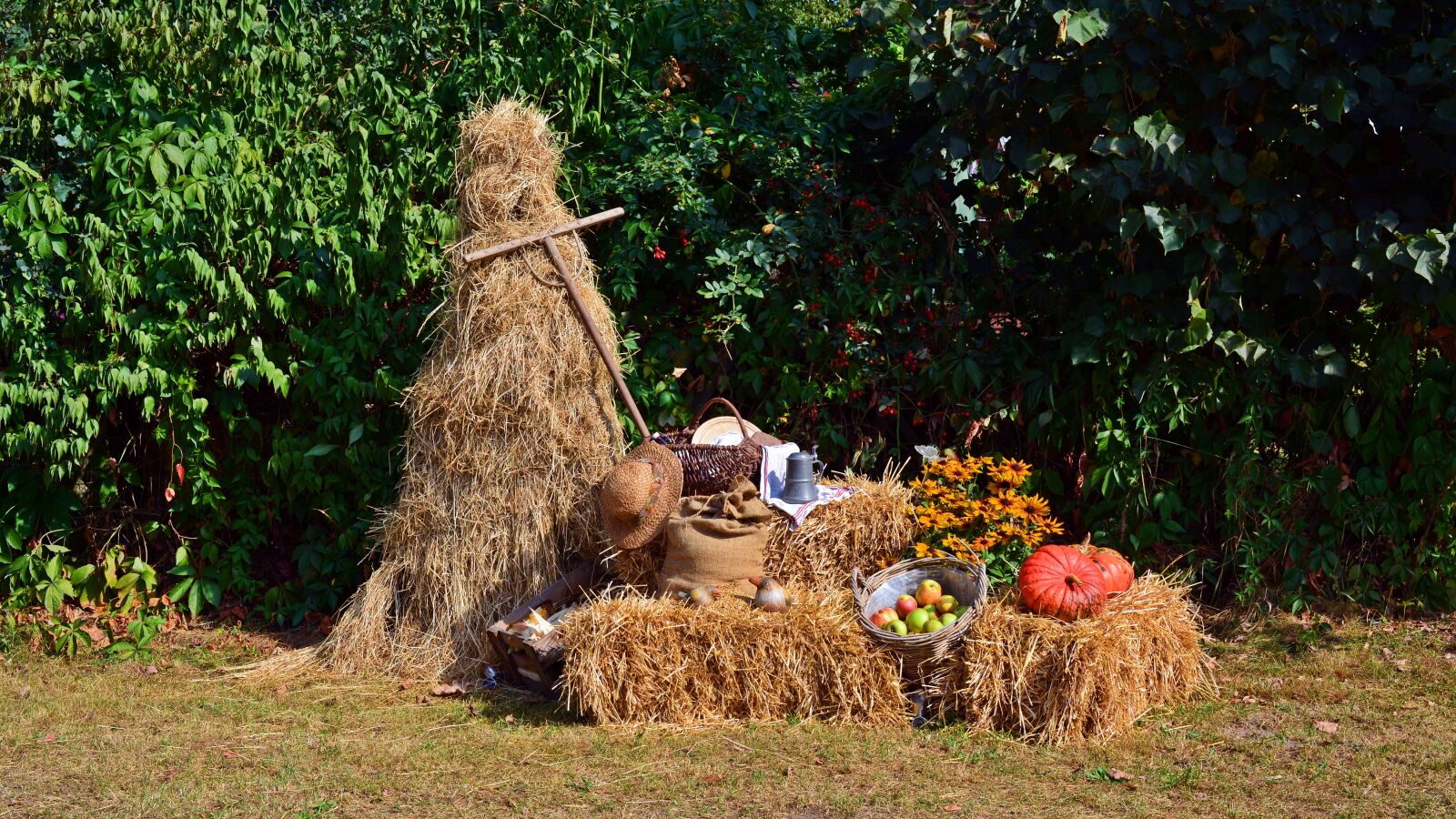 Nikon D5200 sample photo. Harvest, harvest festival, thanksgiving photography