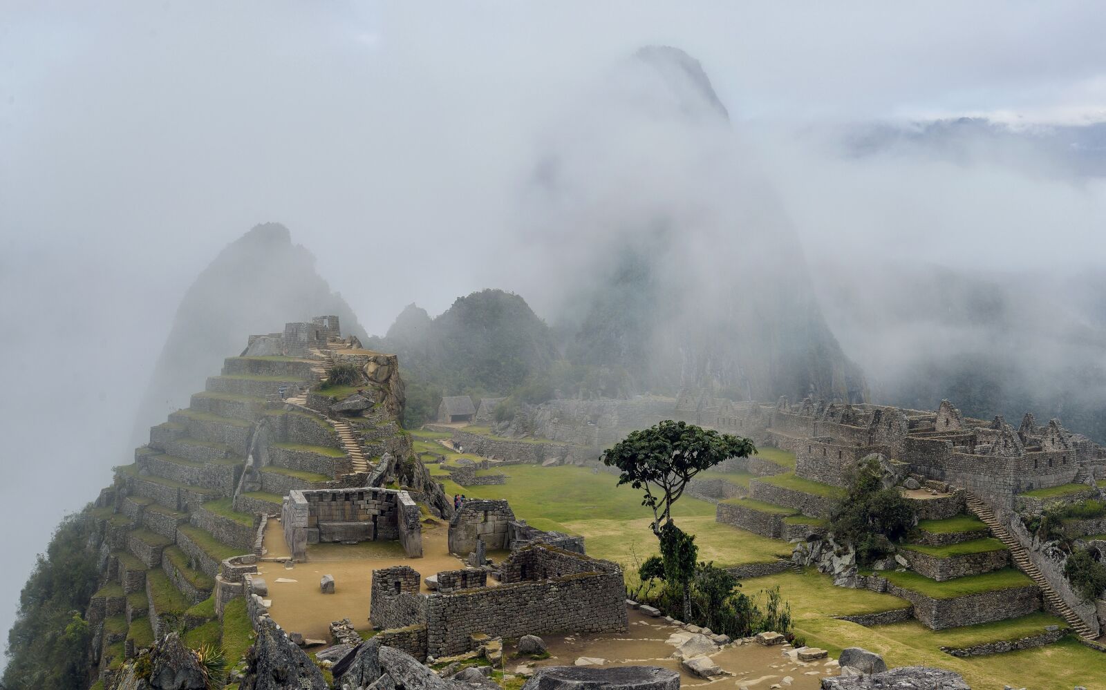 Nikon D600 sample photo. Fog, hill, landscape photography