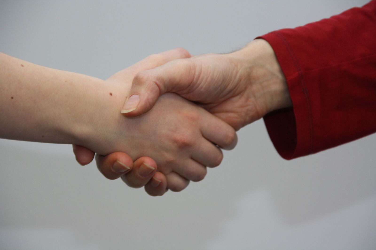 Canon EOS 1000D (EOS Digital Rebel XS / EOS Kiss F) sample photo. Hands, shake, give photography