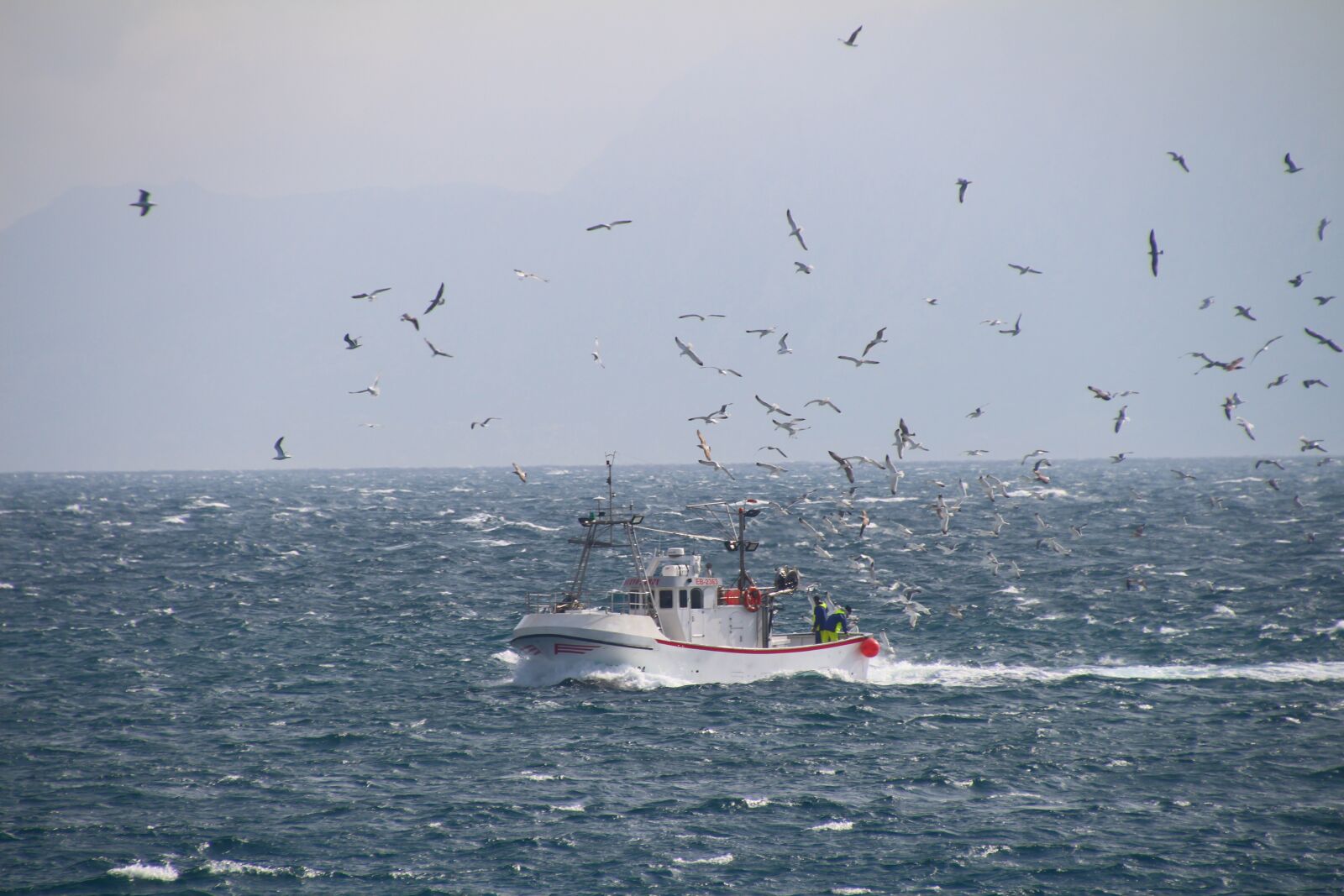 Canon EOS 700D (EOS Rebel T5i / EOS Kiss X7i) sample photo. Fishing boat, gulls, sea photography