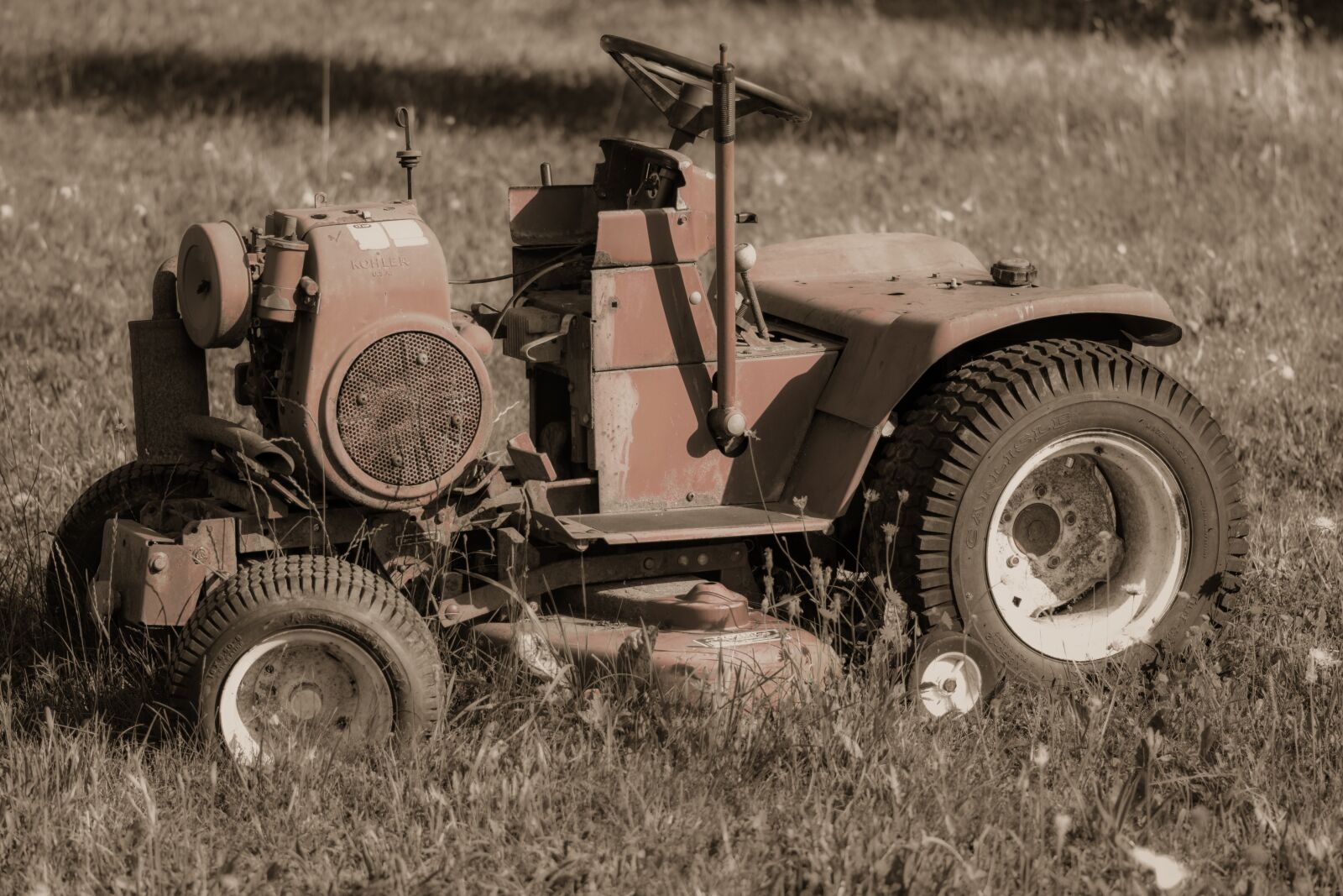 Nikon D7200 sample photo. Lawn mower, weehl horse photography