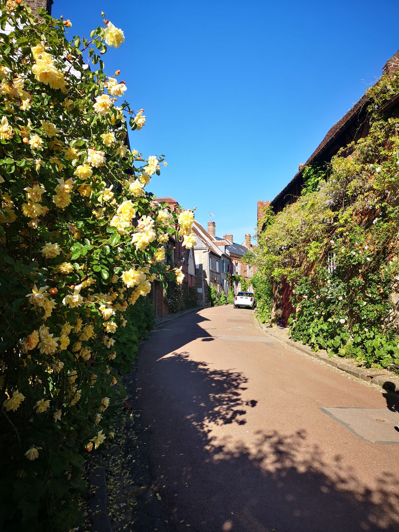HUAWEI CLT-L29 sample photo. Francja, róże, wieś photography