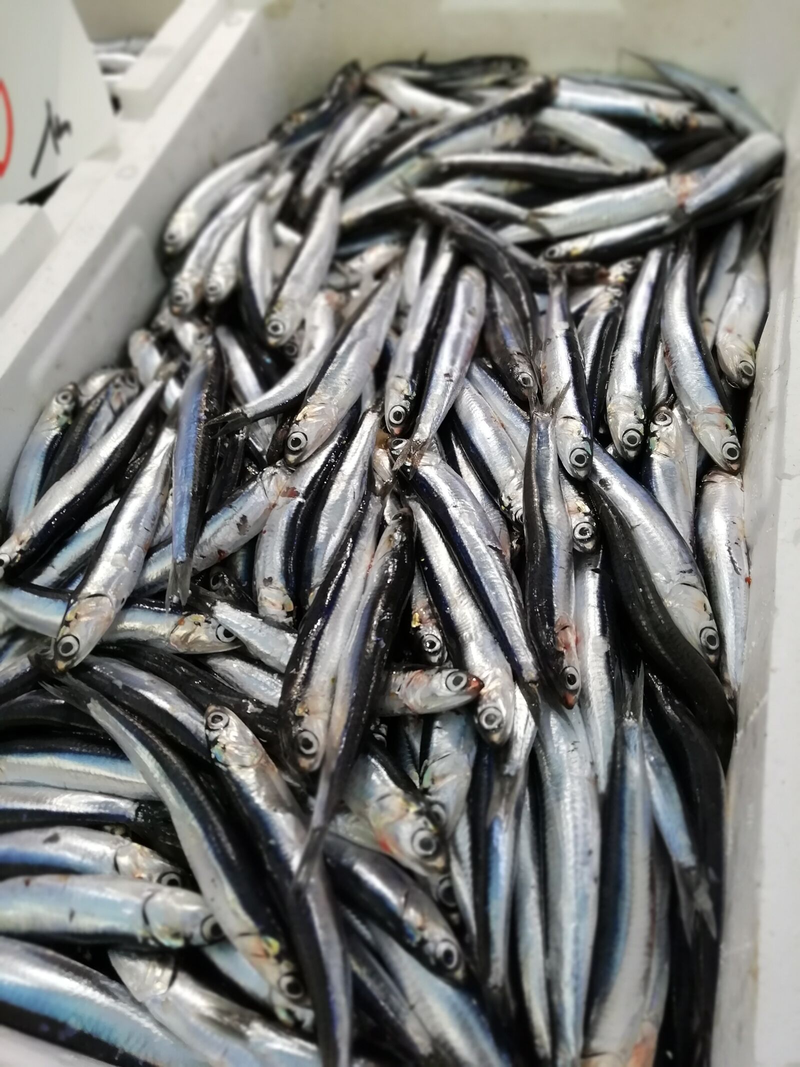 HUAWEI Honor 9 Lite sample photo. Fish, anchovy, anchovies photography
