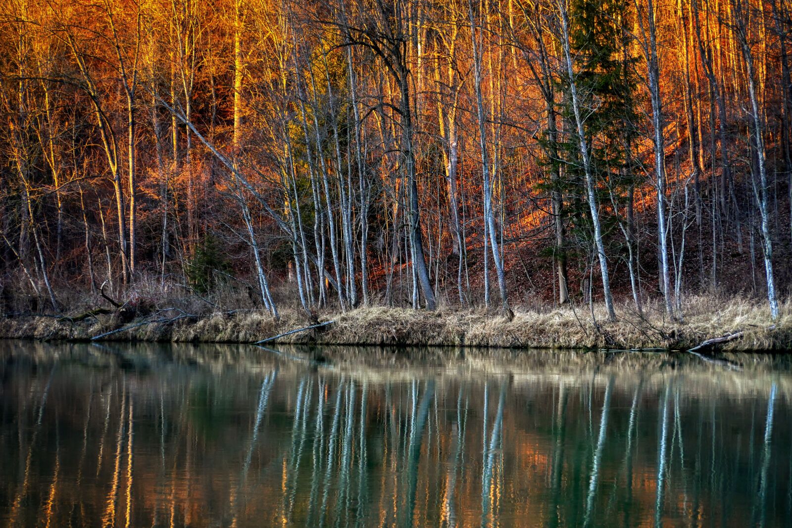 Panasonic Lumix DMC-GX8 sample photo. Forest, winter, river photography