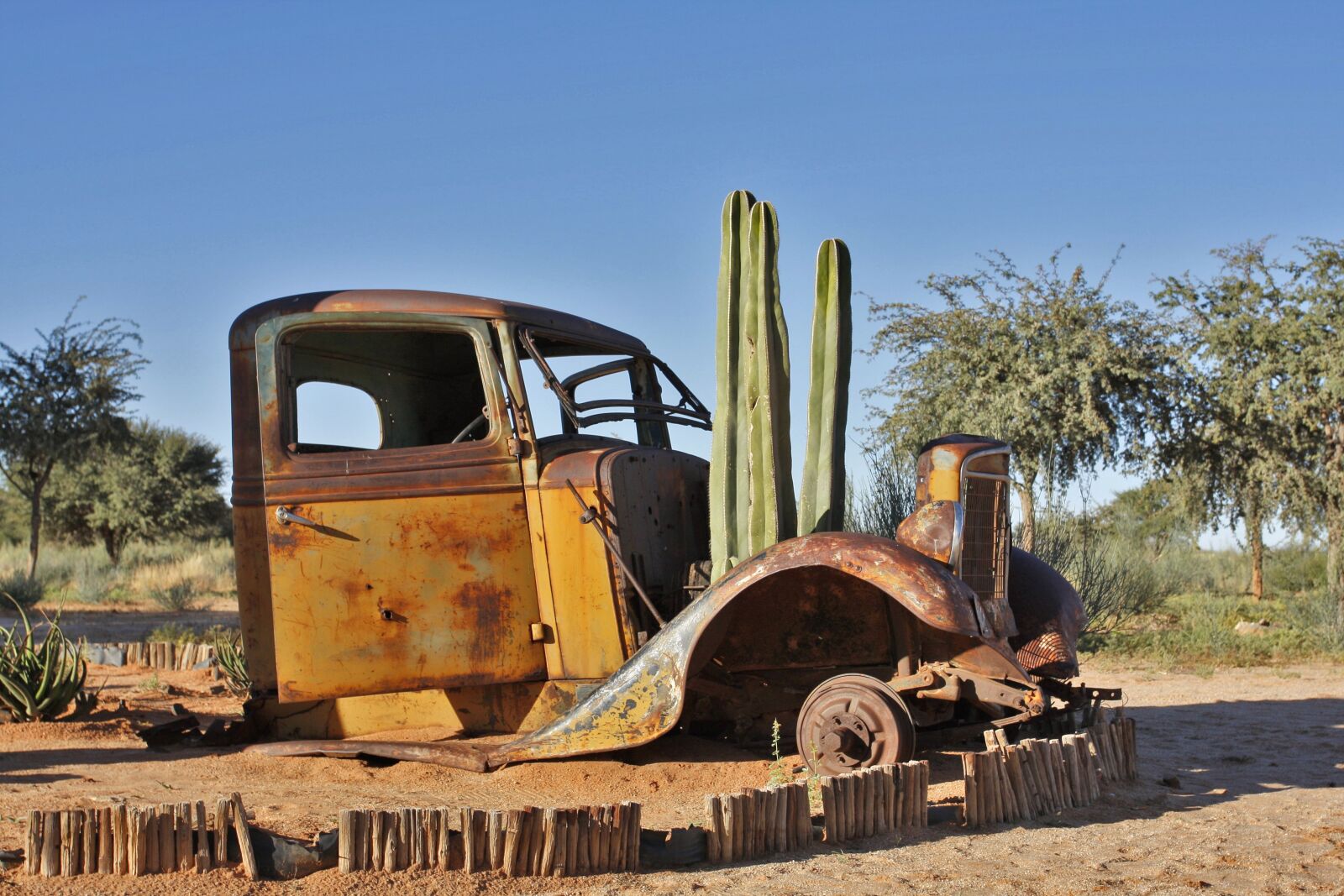 Canon EOS 40D sample photo. Namibia, old car, cactus photography