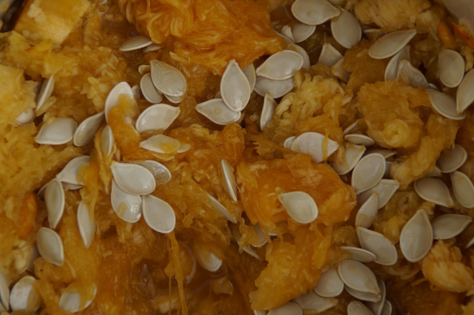 Sony SLT-A58 sample photo. Pumpkin seeds, pumpkin, scrape photography