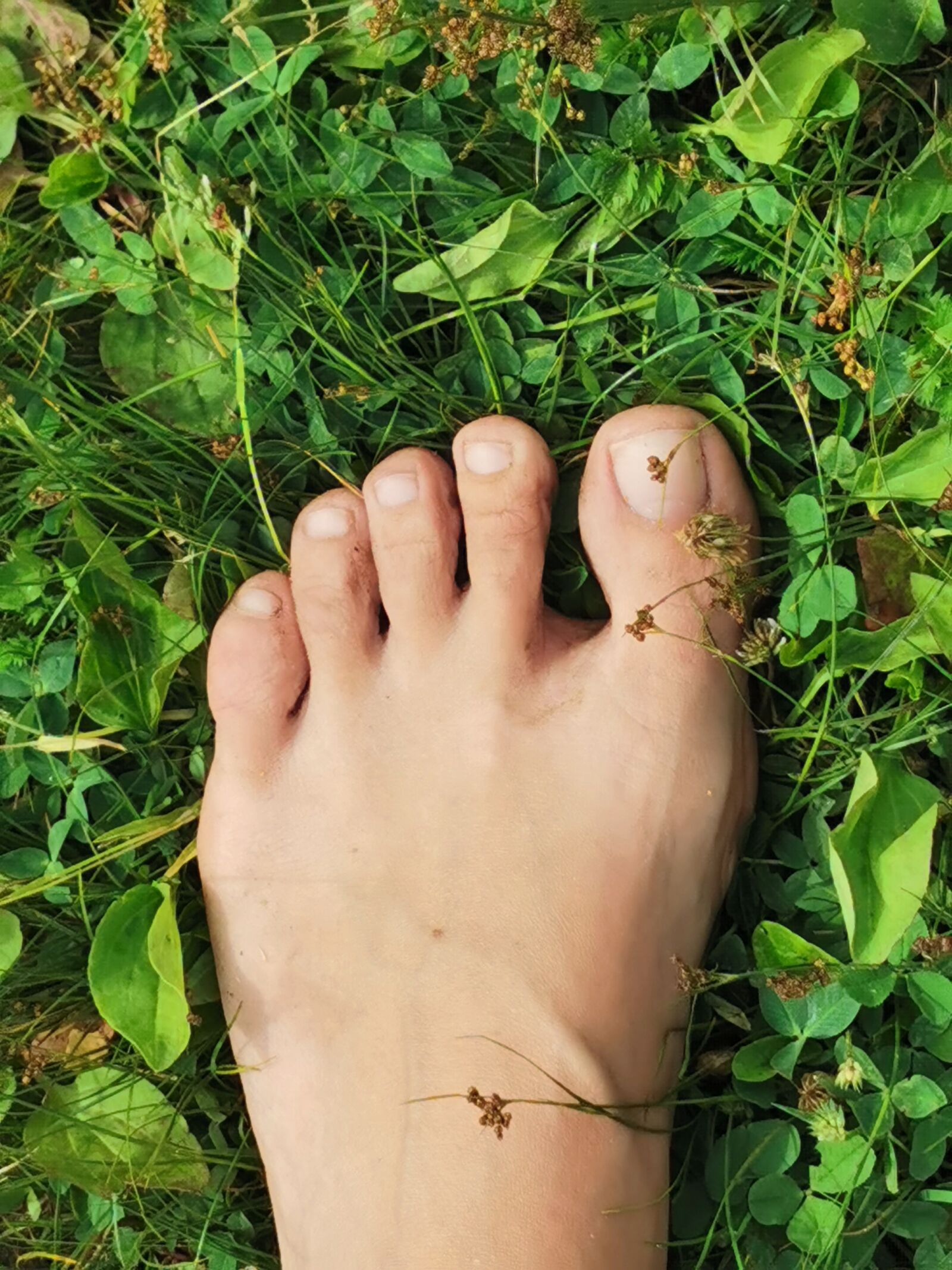 HUAWEI P30 Pro sample photo. Foot, grass, nature photography