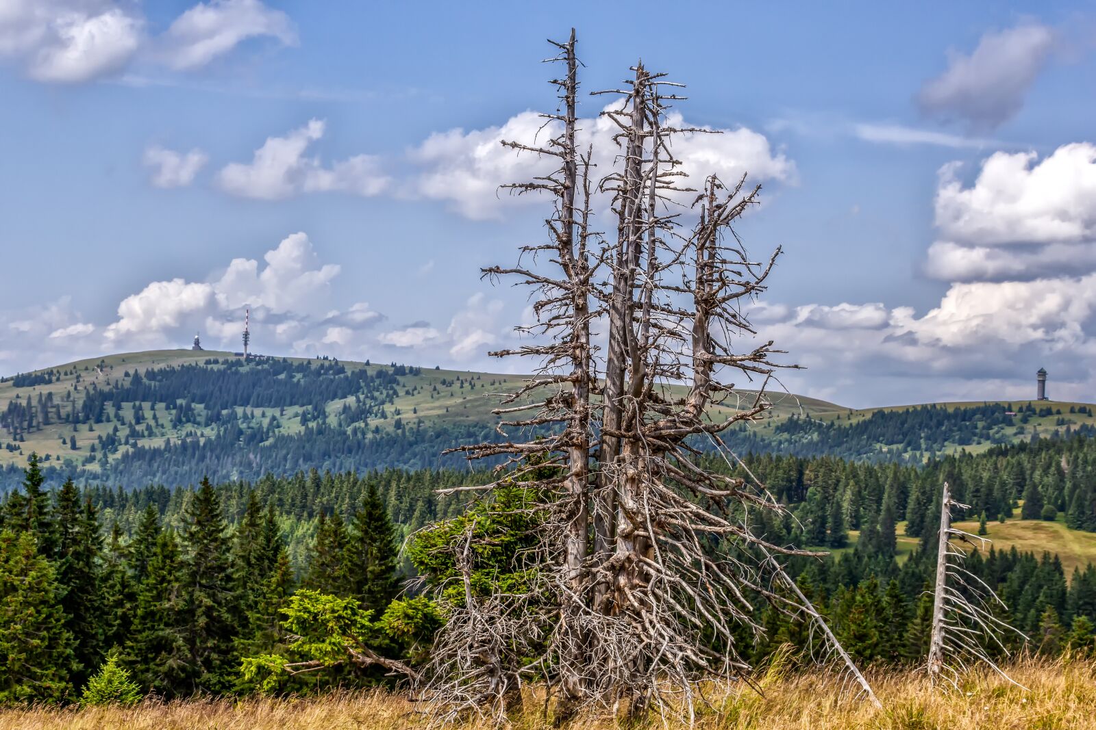 Canon EOS 60D sample photo. Feldberg, belchen, black forest photography
