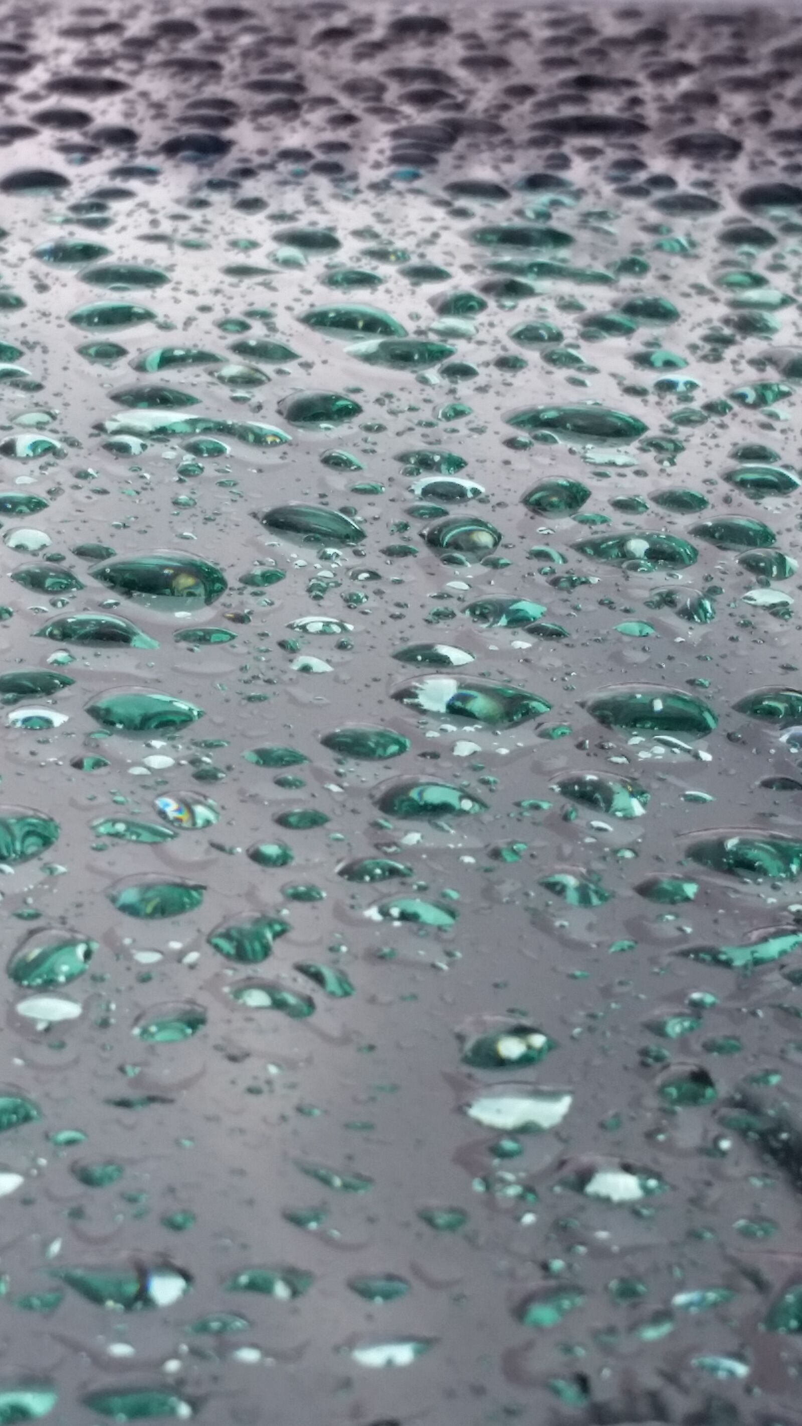 Samsung Galaxy S5 sample photo. Water, background, texture photography