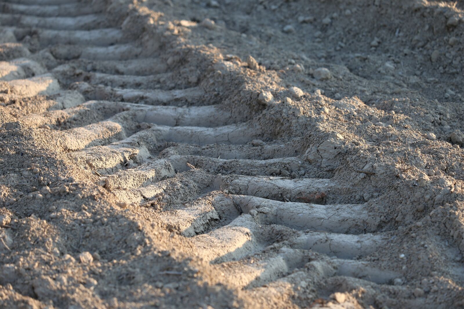 Canon EF 70-300 F4-5.6 IS II USM sample photo. Earth, tractor wheel imprint photography