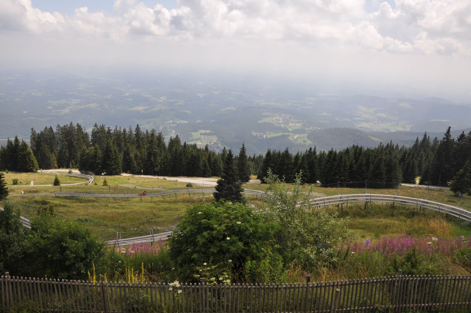 Nikon D90 sample photo. Forest, landscape, austria photography