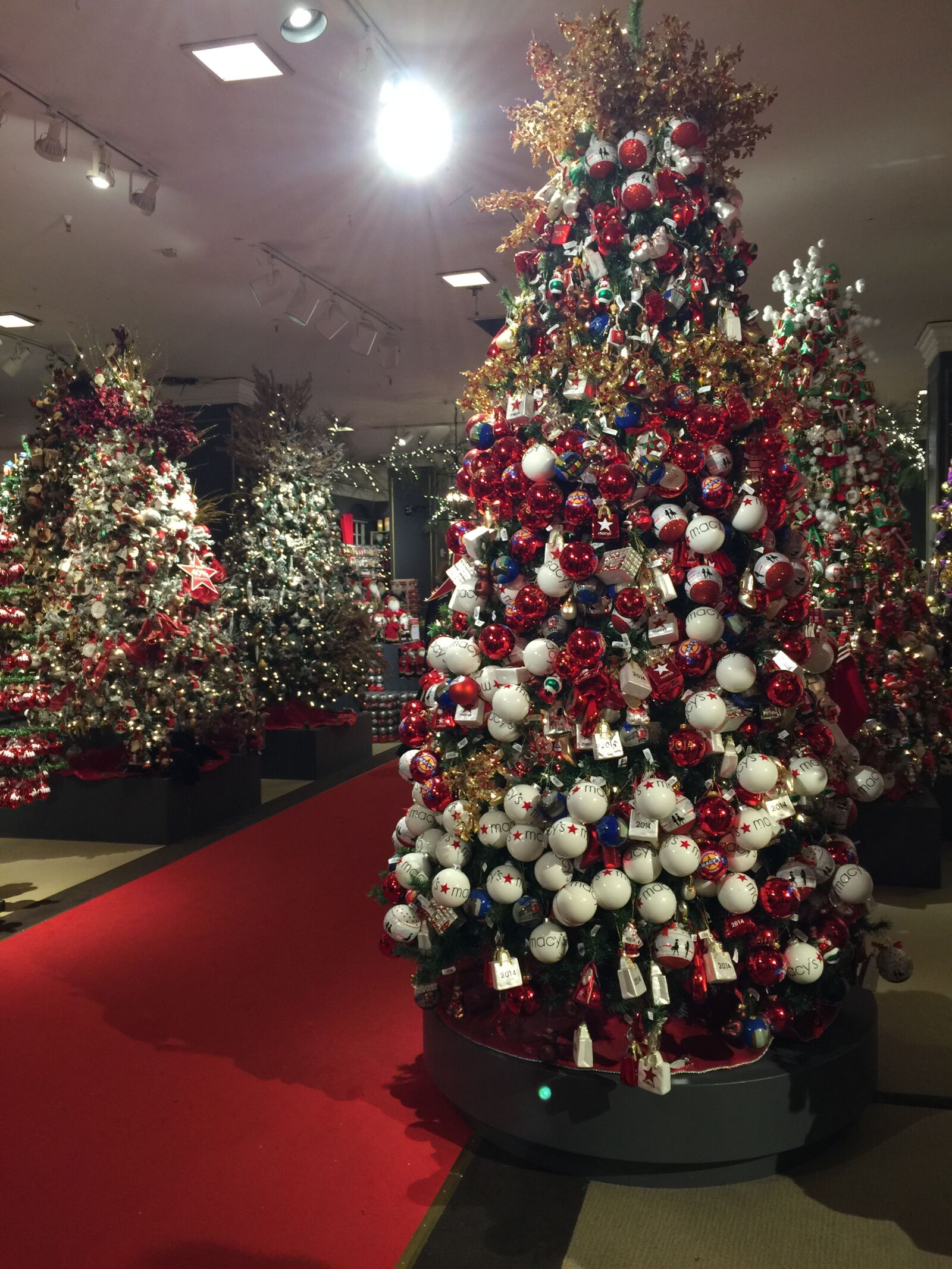 iPhone 6 Plus back camera 4.15mm f/2.2 sample photo. Christmas, christmas, tree, new photography