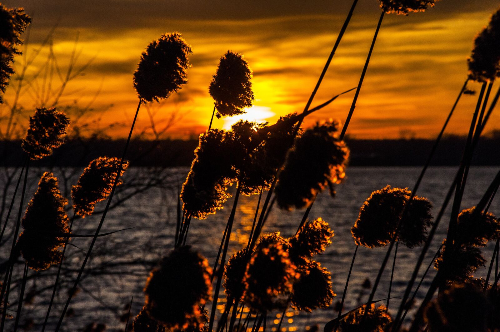 Nikon D90 sample photo. West, the sun, lake photography