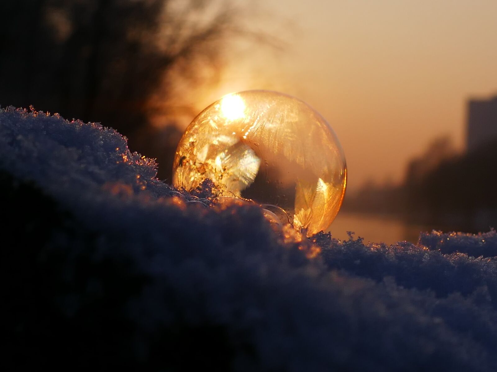 Panasonic DMC-TZ101 sample photo. Soap bubble, frozen, frost photography