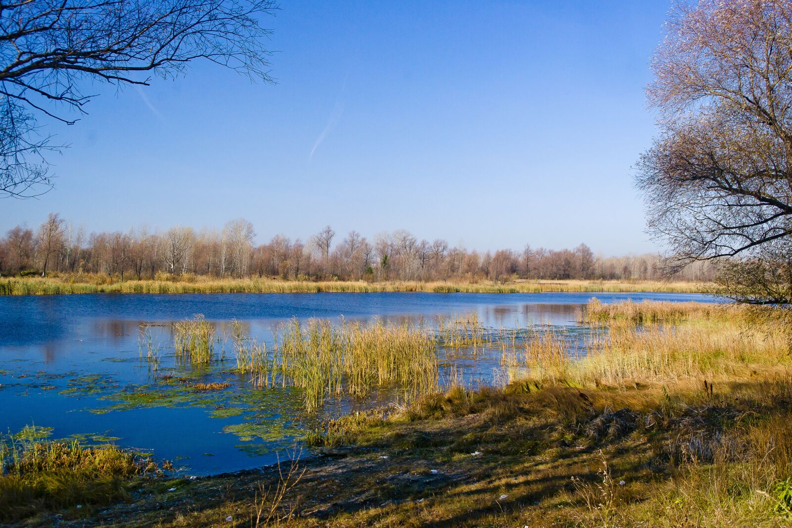 Sony Alpha DSLR-A850 sample photo. Beautiful, nature, blue photography