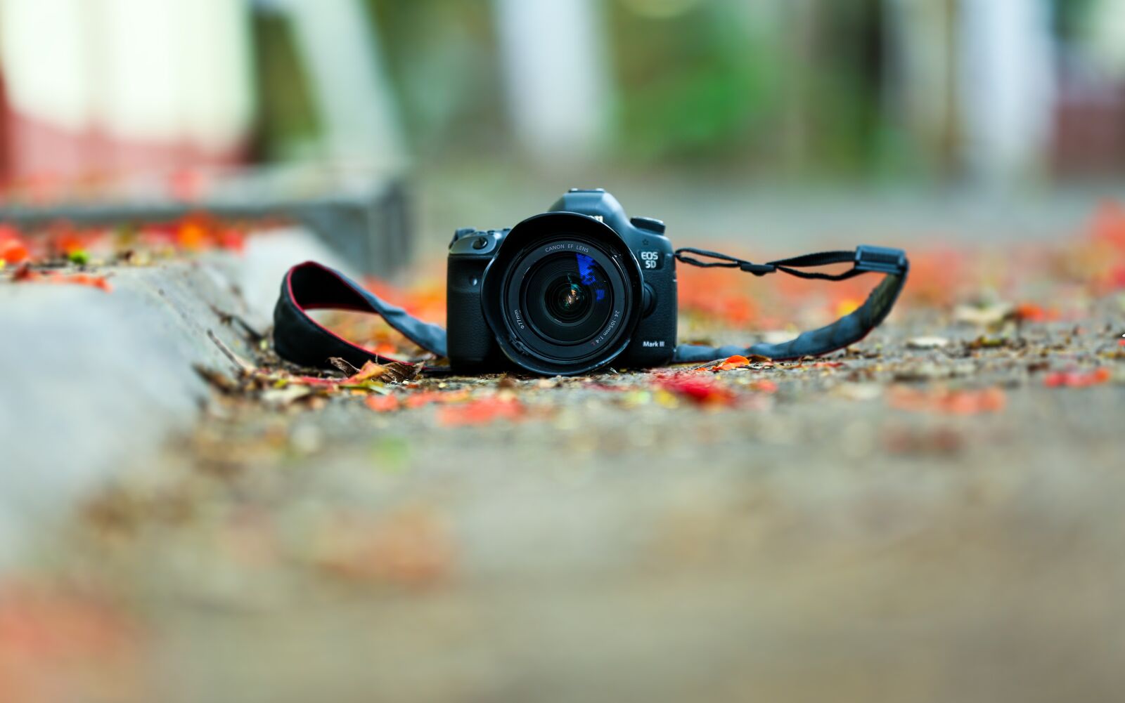 Canon EOS 5D Mark III sample photo. Camera, photo, canon photography